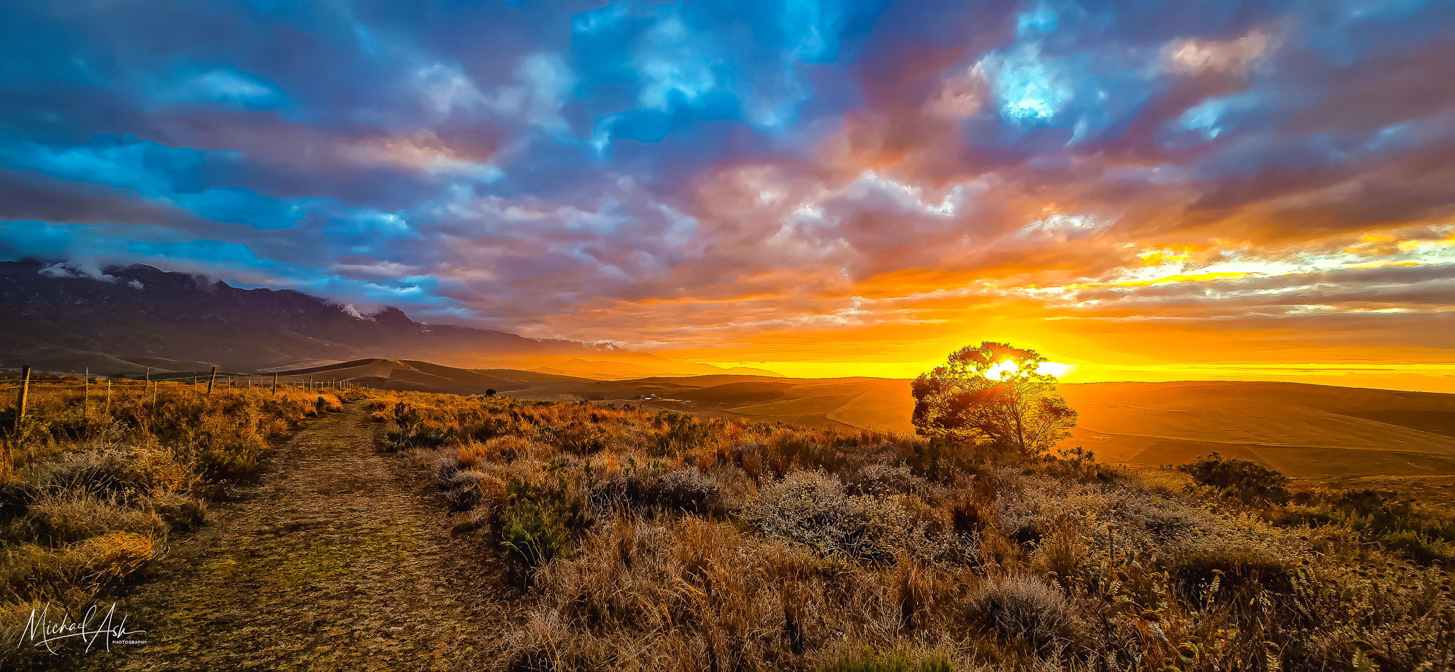 Landscape & Views Golden sunrise over farmland with fence line, native vegetation, and dramatic sky with mountain backdrop