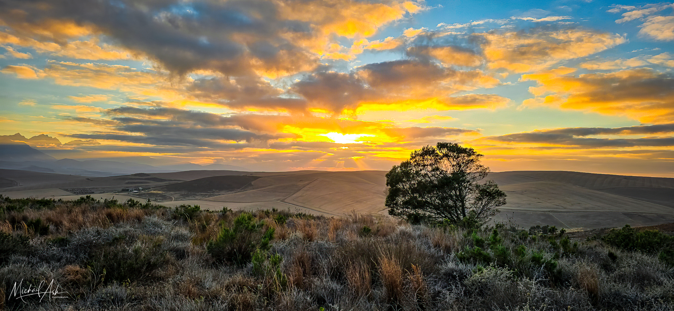 Landscape & Views Dramatic golden and orange sunset with silhouetted tree against rolling Overberg hills and indigenous fynbos landscape