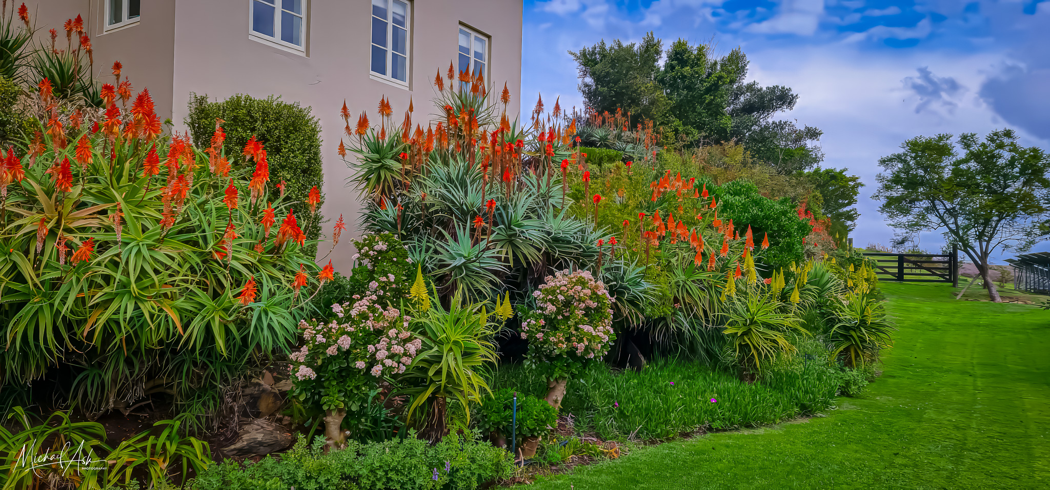 Gardens & Grounds Lower lawn gardens showing vibrant red aloe blooms in foreground, lush green manicured lawn, mature landscaped gardens with indigenous plants and trees surrounding the main house